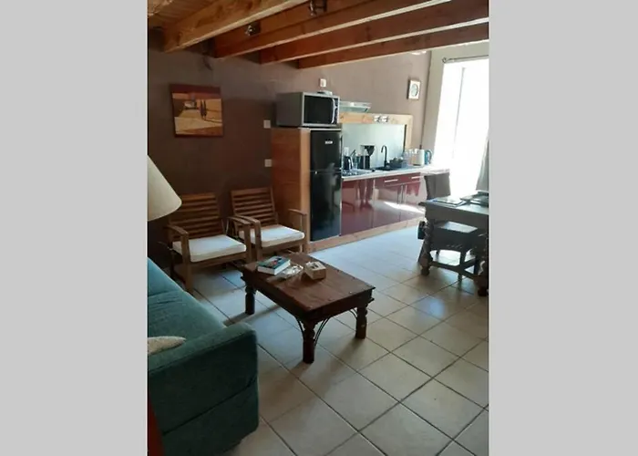 Cave Atelier Dans Ancien Domaine Viticole Apartment